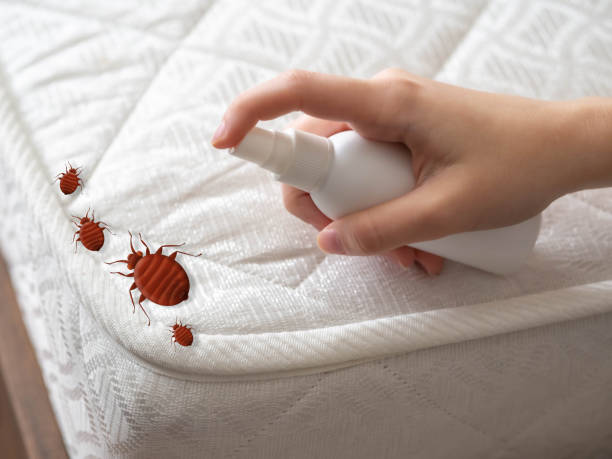 Reliable Greenville, MI Pest control Solutions